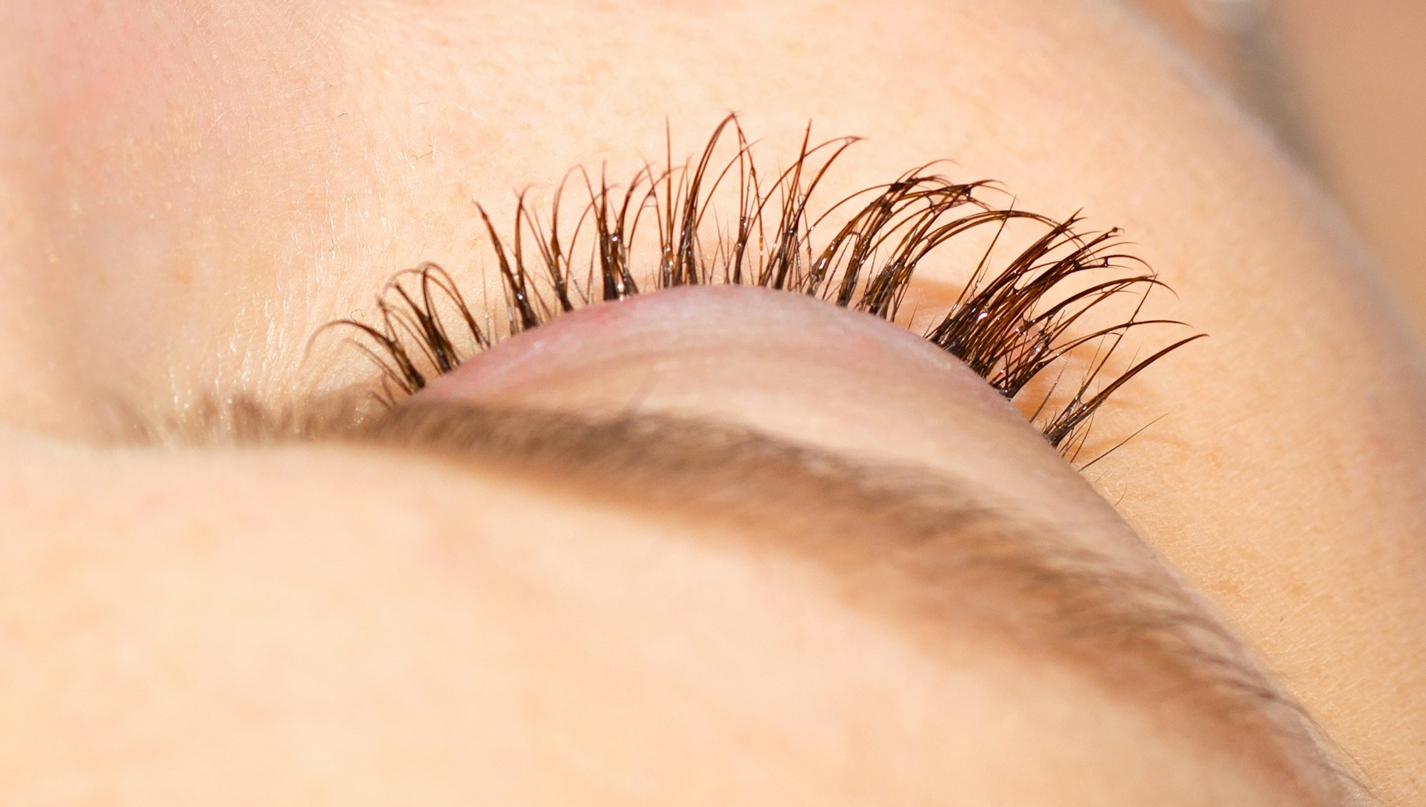 female eye with eyelashes. eyelash extension and removal concept